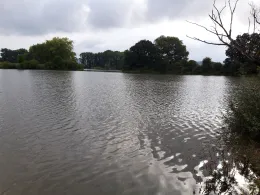 Großer Angersee (Unterbrunn)-1