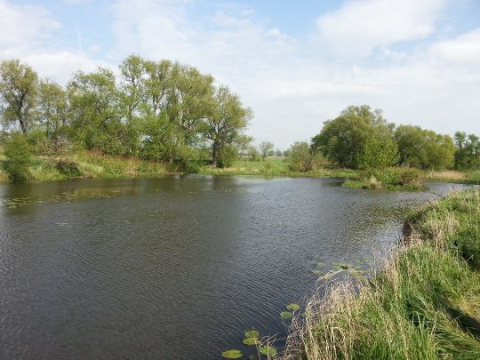 Lache (Schmölen)-2