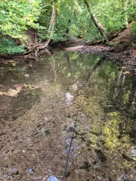 Wallensteingraben (Hohen Viecheln)-1