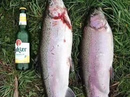 Wallensteingraben (Hohen Viecheln)