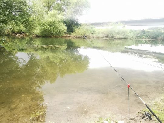Lippe (Lippborg)