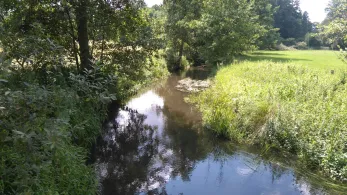 Dahme (Märkisch Buchholz)-4