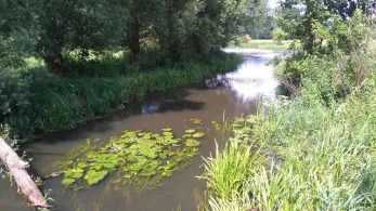 Dahme (Märkisch Buchholz)-2