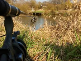 Dahme (Märkisch Buchholz)-1