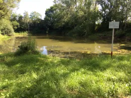 Alte Badeanstalt Kauzleben-1