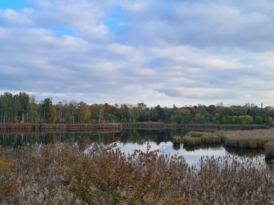Großer Wildgruber See (Tröbitz)-2
