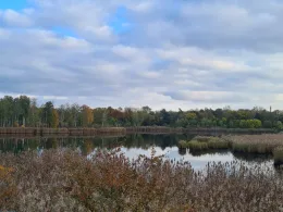 Großer Wildgruber See (Tröbitz)-2