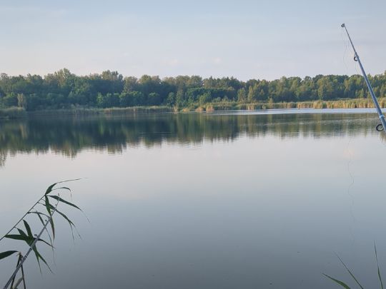 Großer Wildgruber See (Tröbitz)-3