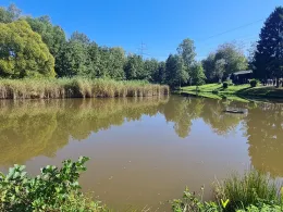 Wallenborn (Wiesbach)