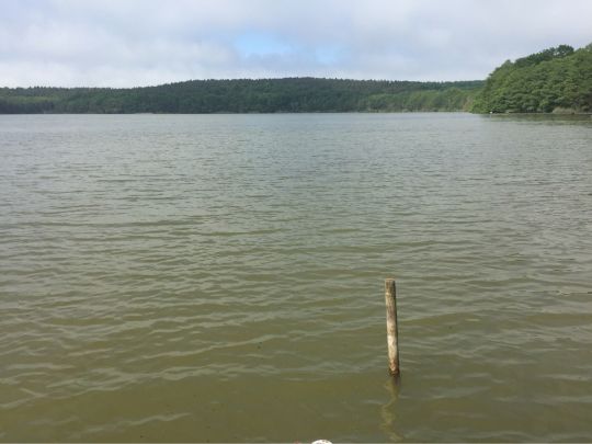 Krebssee (Brüssow)-4