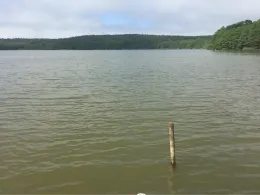 Krebssee (Brüssow)-4