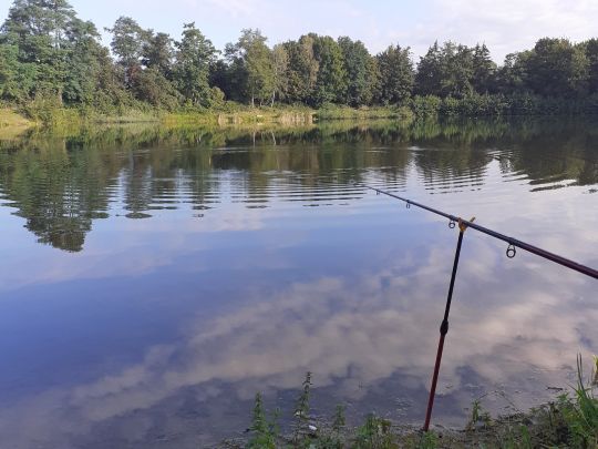 Koppscher Teich (Leteln) ALLE ANGELN