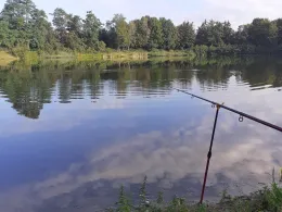 Koppscher Teich (Leteln)-1