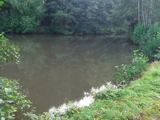 Fischteich Kreiswald-2