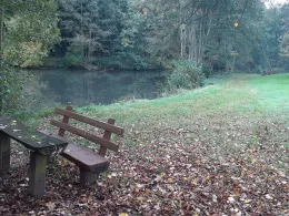 Fischteich Kreiswald-1