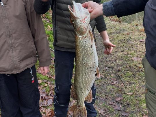 Angelteich FV Eversen