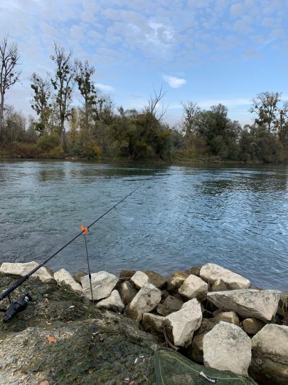 Altrhein (Au am Rhein)-2