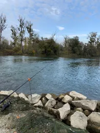 Altrhein (Au am Rhein)-2