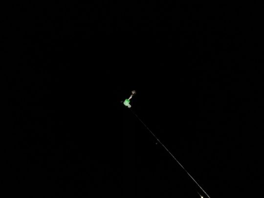 Altrhein (Au am Rhein)-3