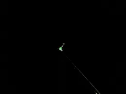 Altrhein (Au am Rhein)-3