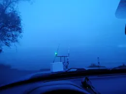 Altrhein (Au am Rhein)-1