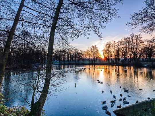 Walgenbachteich-1