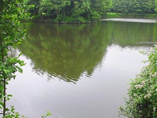 Walgenbachteich-2