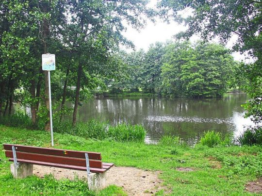 Walgenbachteich-4