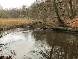 Trittauer Mühlenbach