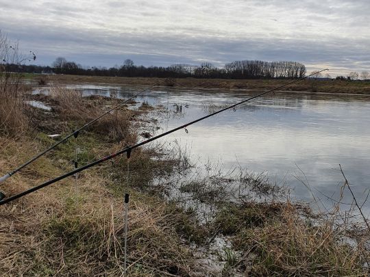 Weser (Bad Oeynhausen)-1