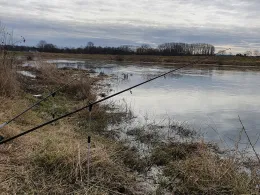 Weser (Bad Oeynhausen)-1