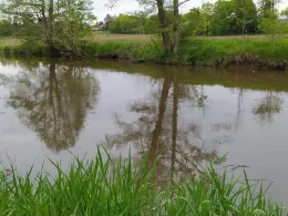 Schmutter (Hammel)-1