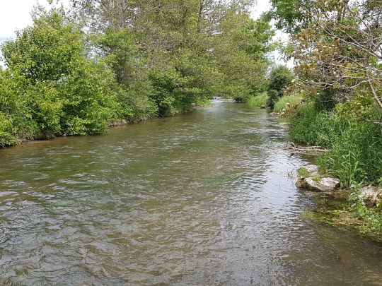 Schmutter (Hammel)-4