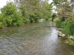 Schmutter (Hammel)-4