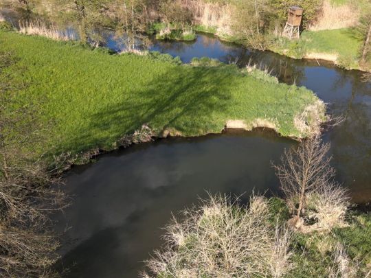 Schmutter (Hammel)-3