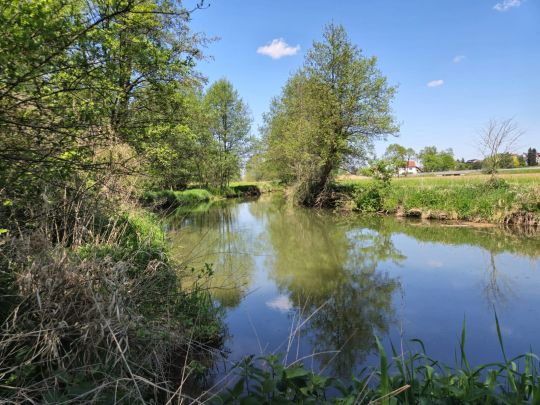 Schmutter (Hammel)-2