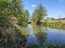 Schmutter (Hammel)-2