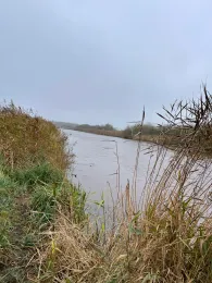 Schmale (Neukirchen)-3