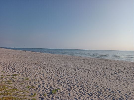 Ostsee (Sæby)