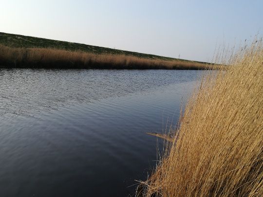 Benser Tief