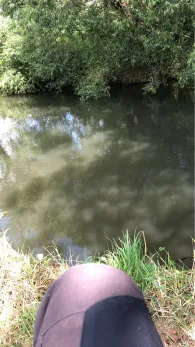 Ohm (Nieder-Ofleiden)