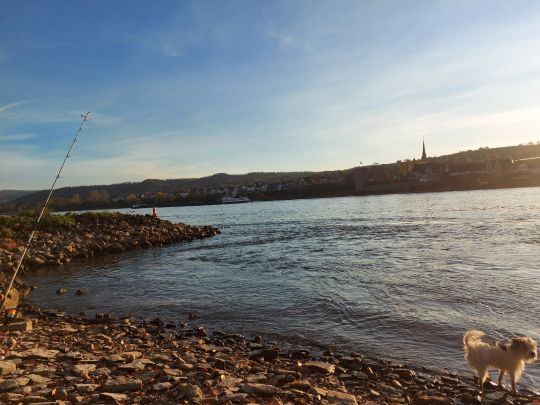 Angeln in Holzhausen an der Haide