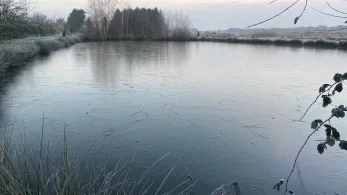 Patricks Angelteiche