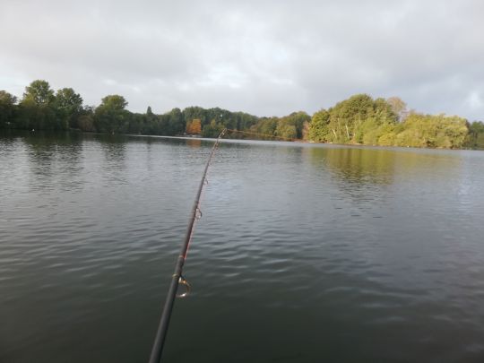 Unterbacher See (Düsseldorf)-3
