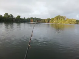 Unterbacher See (Düsseldorf)-3
