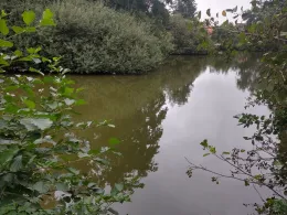 Ententeich (Leerort)-1