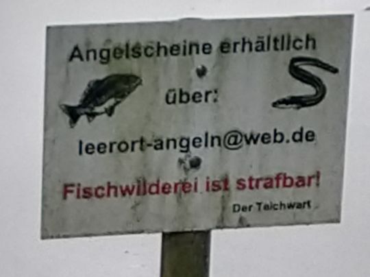 Ententeich (Leerort)-0