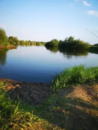 Aller (Hohenaverbergen) -3