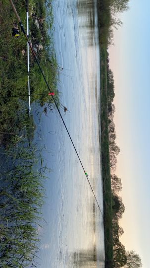 Aller (Hohenaverbergen) -2