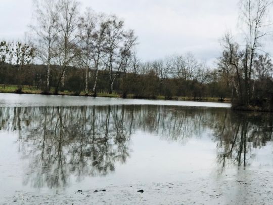 Großer Eisteich (Bad Köstritz)-2